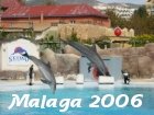 Malaga 2006